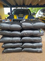 PRF apreende 90 quilos de folhas de coca, em Senador Guiomard/AC