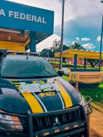 PRF apreende cocaína sendo transportada em compartimentos escondidos de mochilas