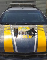 Condutor é preso por porte ilegal de arma de fogo e munições