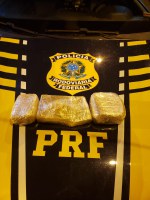 Drogas apreendidas pela PRF em ônibus