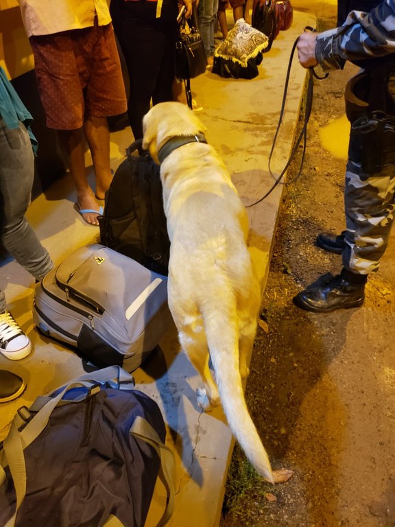 WhatsApp Image 2022-03-09 at 23.32.01.jpeg