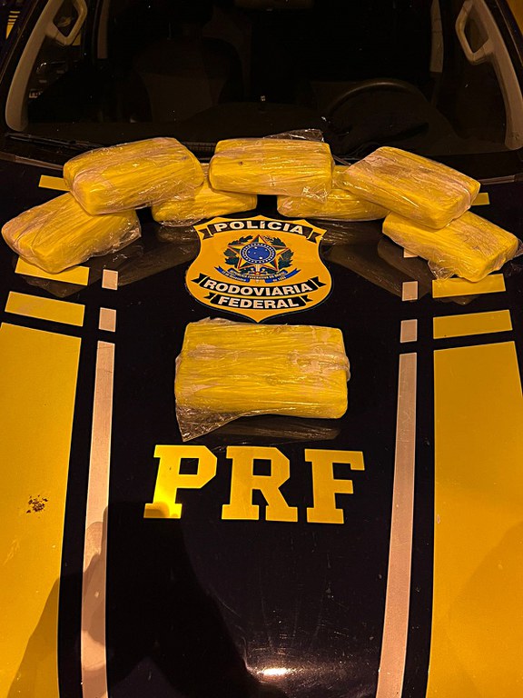 24 de janeiro de 2023 editada skunk.jpeg