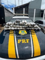 PRF APREENDE SKUNK EM SENADOR GUIOMARD - AC