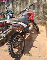 ARCO VERDE II: PRF recupera 4 veículos, resgata 19 animais e prende 3 pessoas, durante Operação, entre os estados do Acre e Amazonas