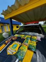 PRF prende estrangeira por tráfico de drogas no Acre