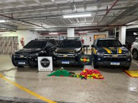 FICCO/AC, PM/AC e PRF realizam apreensão de drogas e armas em operação integrada no Acre