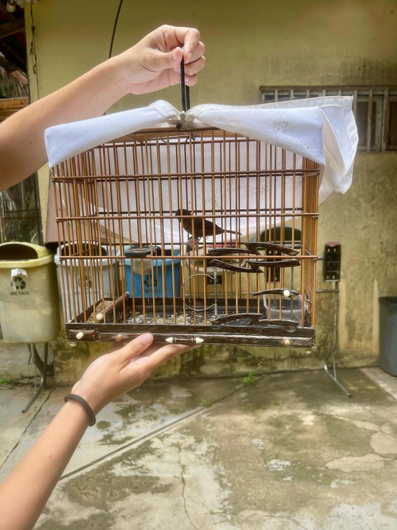 WhatsApp Image 2025-03-06 at 15.26.11.jpeg