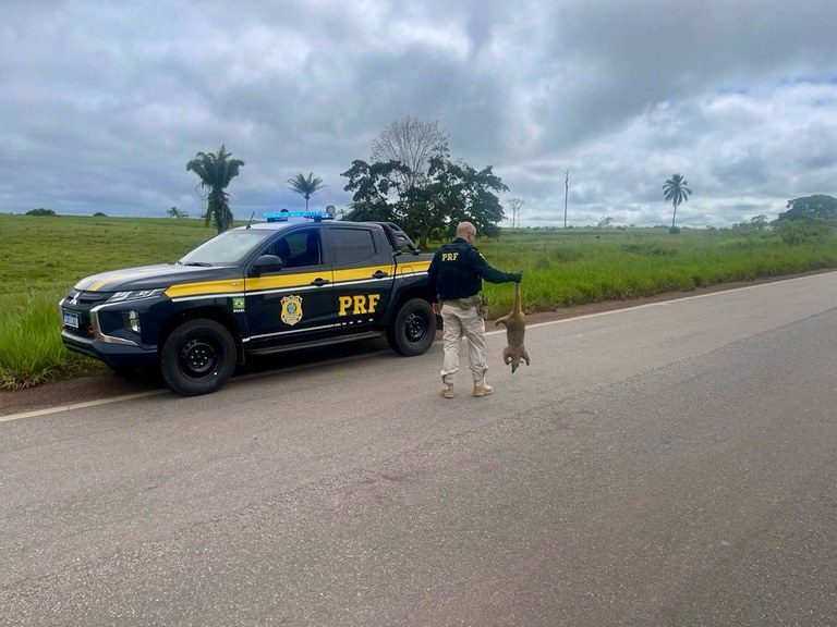 WhatsApp Image 2025-03-21 at 10.38.47.jpeg