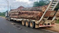 PRF/AC apreende carga de madeira ilegal e combate crime ambiental em Cruzeiro do Sul
