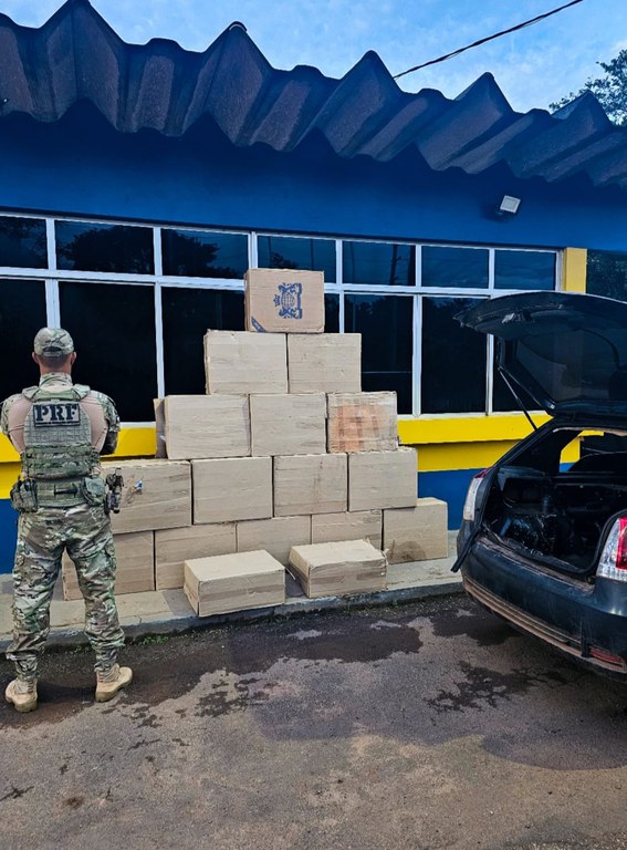 WhatsApp Image 2026-02-21 at 19.46.25.jpeg