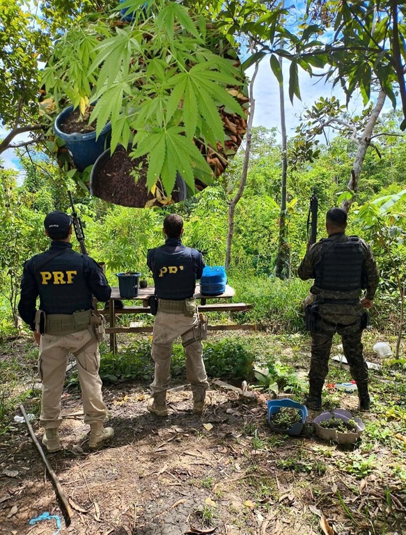 WhatsApp Image 2026-04-10 at 18.09.16.jpeg