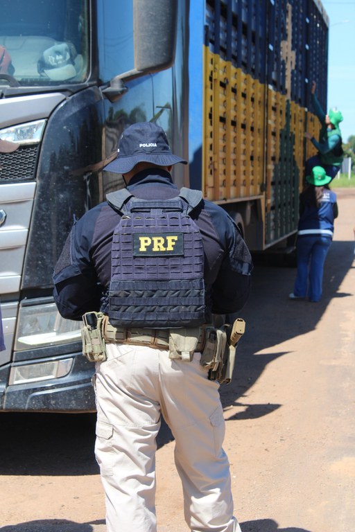 WhatsApp Image 2025-01-28 at 11.38.02.jpeg