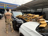 PRF apreende 43 kg de skunk ocultos em fundo falso de caminhonete