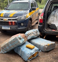 PRF e Polícia Civil desarticulam transporte de aproximadamente 230 kg skunk e recuperam veículo utilizado em assaltos