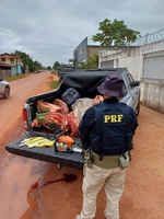 PRF prende dois homens por porte ilegal de arma, abate clandestino e maus-tratos a animais no AM