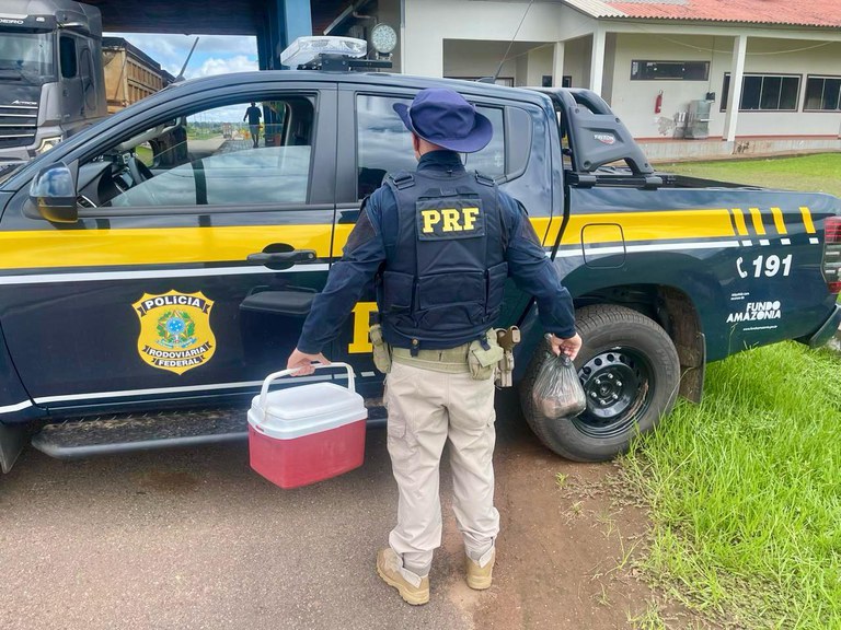 WhatsApp Image 2025-03-21 at 09.14.30.jpeg