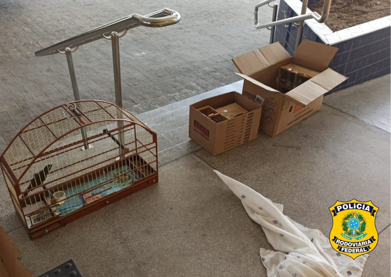 Design sem nome (5).jpg