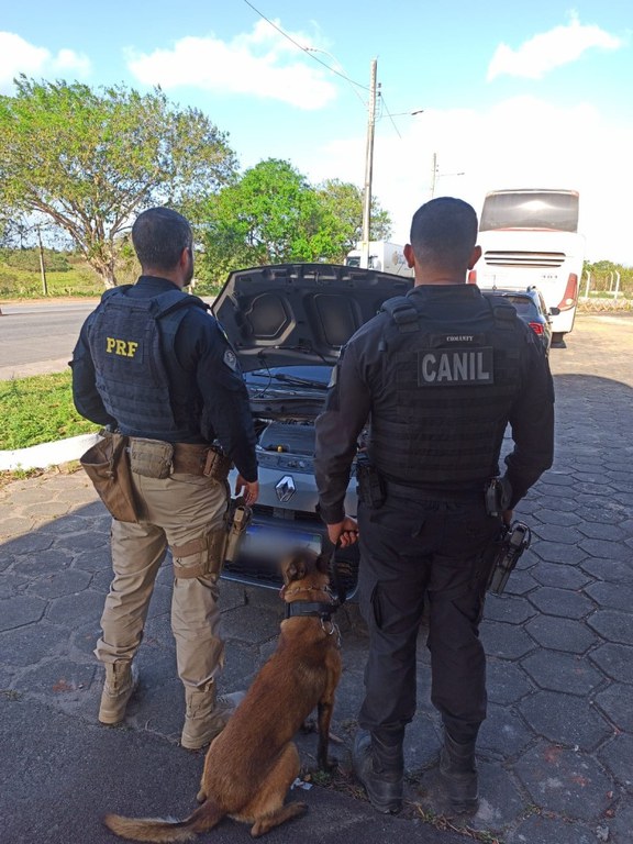 PRF e Canil do 3º BPM prendem homens por adulteração e receptação de veículos na segunda-feira em Alagoas 1.jfif