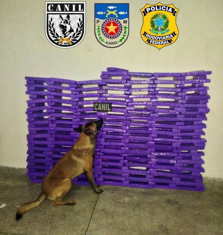 WhatsApp Image 2023-09-10 at 11.34.40.jpeg