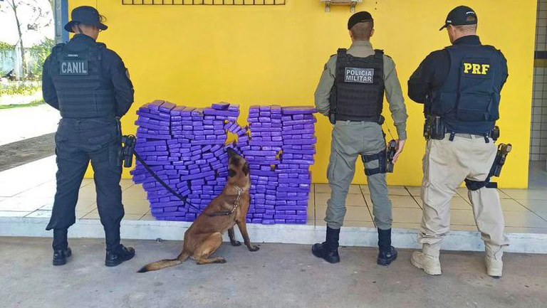 WhatsApp Image 2023-09-10 at 11.34.41.jpeg