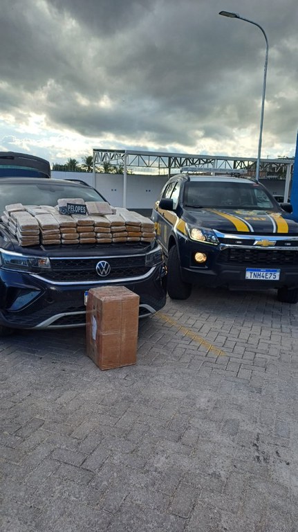 bf77ba19-1ea2-4f51-b6eb-93530743bf95.jfif