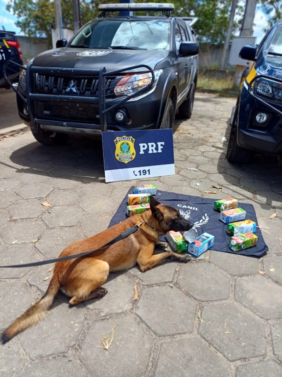 WhatsApp Image 2025-12-01 at 17.22.24.jpeg