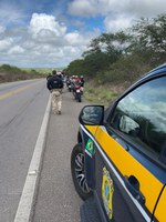 PRF prende homem por adulteração de sinal identificador de veículo, em Cacimbinhas/AL