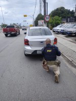PRF prende homem por Apropriação Indébita, em Maceió/AL