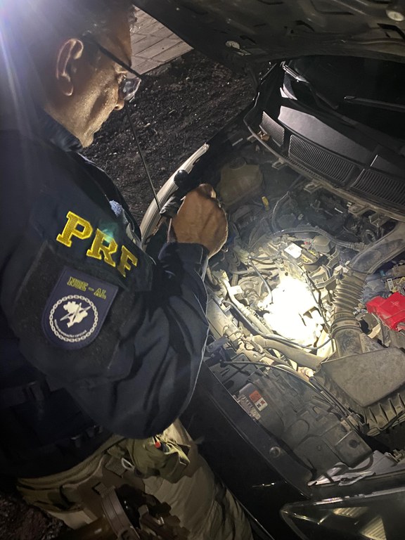 adulteração 2025.jpeg