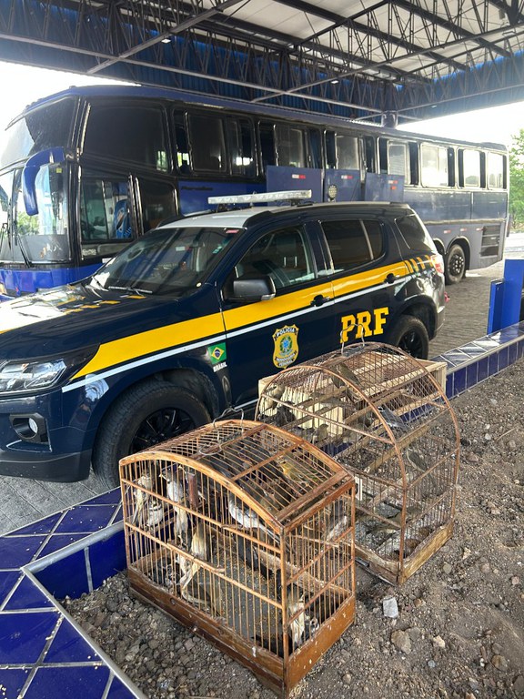 d1e1abf7-6b80-47ab-ba3a-e41d45a4d197.jfif