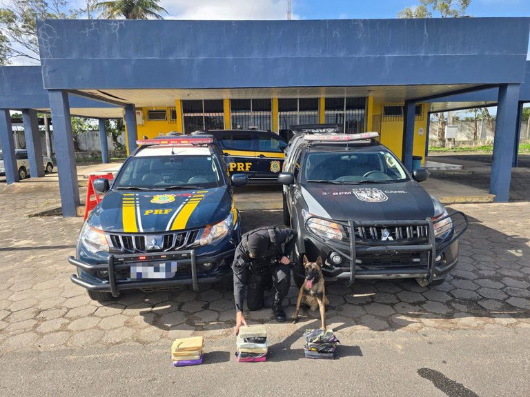 5125b7dd-95ae-4b65-816b-c1e64ca28bf8.jfif