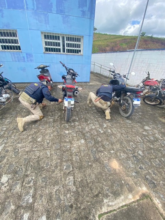 435beb16-4b23-4bd6-9d1f-94133e6cbcc2.jfif