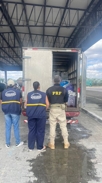 21e1d41c-6902-4623-a9db-c1b6a186c503.jfif