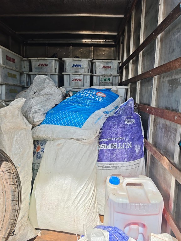 e344ec16-1d24-4a47-9cc8-49900ced4cbf.jfif