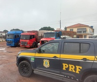 PRF apreende 31 mil tijolos por crime tributário em São Sebastião/AL