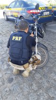 PRF em Alagoas prende homem que dirigia motocicleta adulterada na BR 101