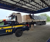 PRF em Alagoas apreende carga com madeira sem licença na BR 423, em Canapi