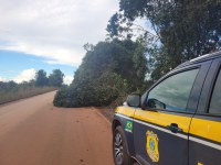 Resumo do fim de semana