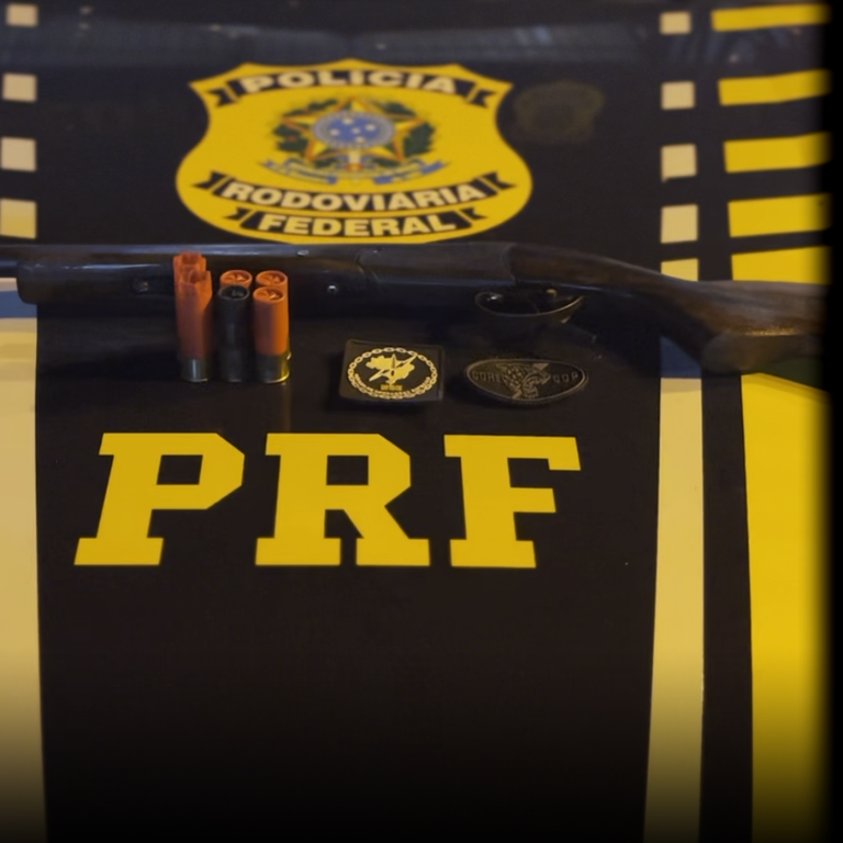 Homem é preso por crime ambiental e porte ilegal de arma