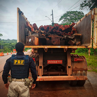 Crime ambiental em Oiapoque