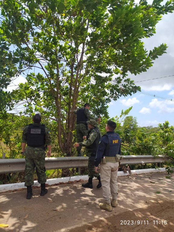 WhatsApp Image 2023-09-12 at 11.14.42.jpeg