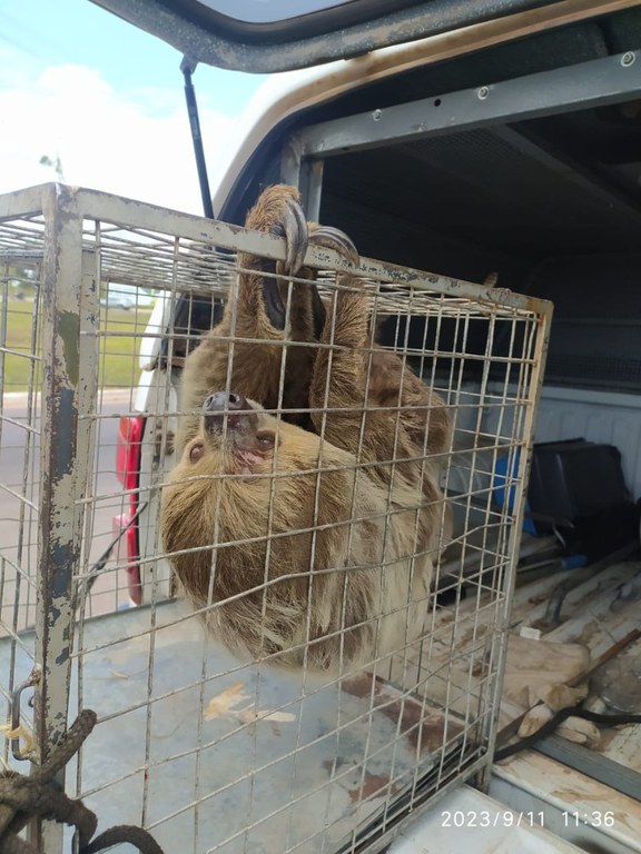 WhatsApp Image 2023-09-12 at 11.14.43 (1).jpeg