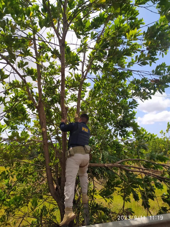 WhatsApp Image 2023-09-12 at 11.14.43.jpeg