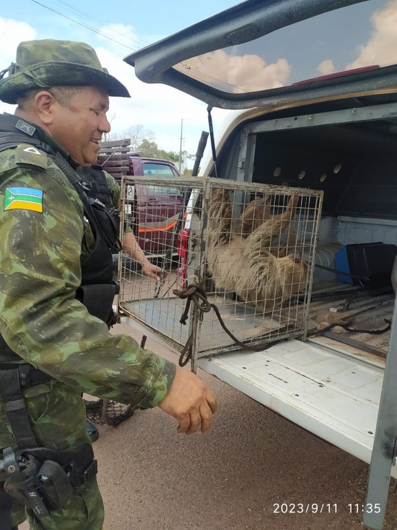 WhatsApp Image 2023-09-12 at 11.14.44 (2).jpeg