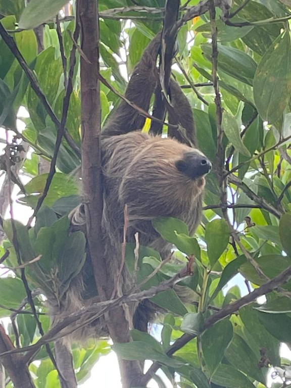 WhatsApp Image 2023-09-12 at 11.14.48.jpeg