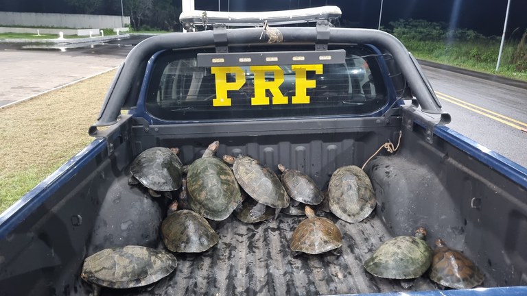 WhatsApp Image 2024-01-12 at 02.36.02.jpeg