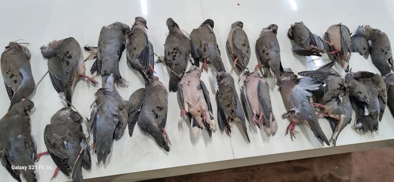 WhatsApp Image 2024-06-30 at 07.58.07 (2).jpeg