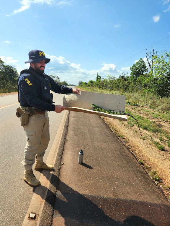 WhatsApp Image 2024-07-08 at 16.49.37.jpeg