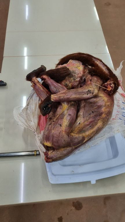 WhatsApp Image 2024-05-27 at 07.08.11.jpeg