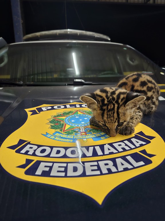 WhatsApp Image 2024-03-17 at 16.42.19.jpeg